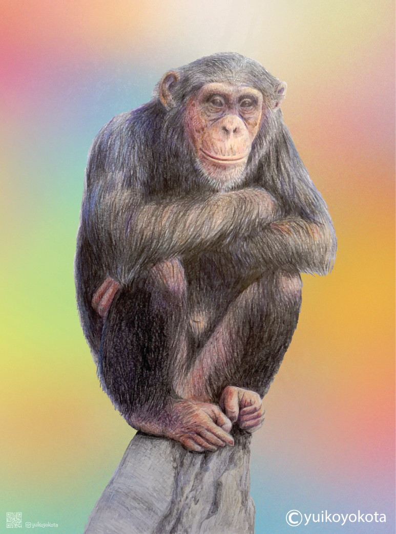 What are you doing, human?